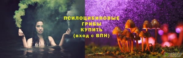 твердый Гусев