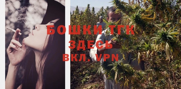 дмт Гусь-Хрустальный