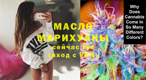твердый Гусев