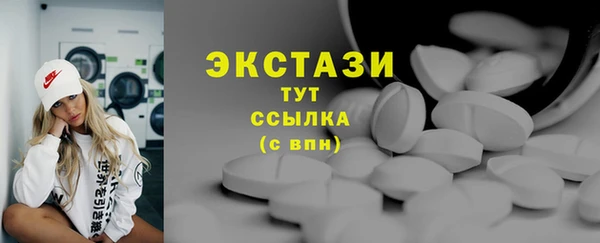 твердый Гусев