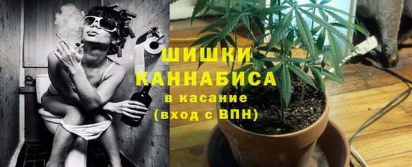 твердый Гусев