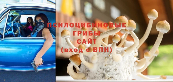 apvp Горняк